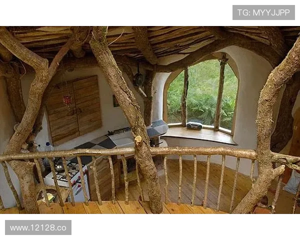 17世纪日韩猎奇小屋的建筑风格与设计特色